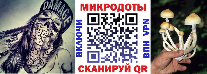 Псилоцибиновые грибы прущие грибы  blacksprut зеркало  Минеральные Воды 